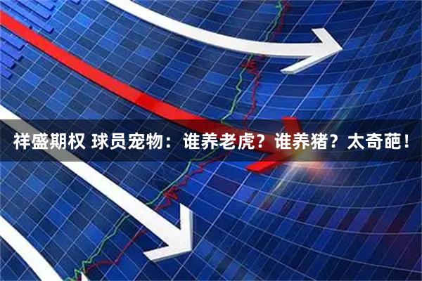 祥盛期权 球员宠物：谁养老虎？谁养猪？太奇葩！