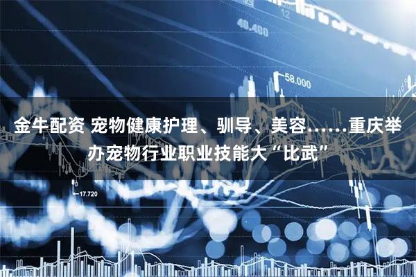 金牛配资 宠物健康护理、驯导、美容……重庆举办宠物行业职业技能大“比武”