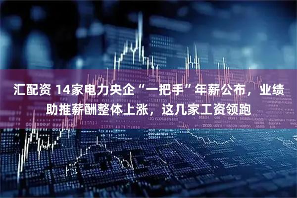 汇配资 14家电力央企“一把手”年薪公布，业绩助推薪酬整体上涨，这几家工资领跑